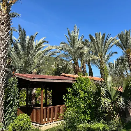 Hotel Azur Çıralı