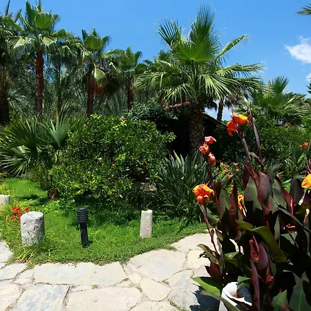 Azur Hotel 3*